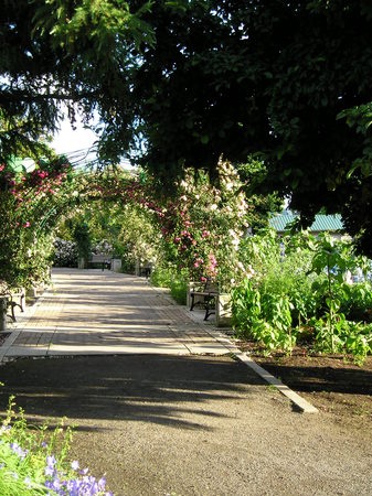 'George E. Owen Memorial Rose Garden'  photo