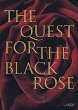 'The Quest for the Black Rose'  photo