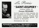 Saint-Exupery ® rose photo