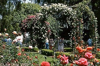 'Huntington Library, Art Gallery and Botanical Gardens'  photo