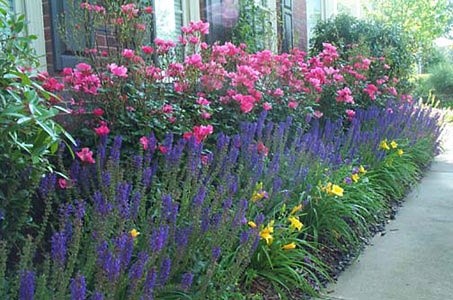 'Rosebud's Atlanta Rose Garden'  photo