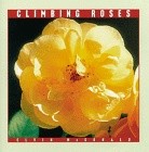 'Climbing Roses (Rose Garden Series)'  photo