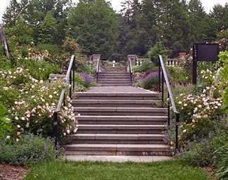 'The Morris Arboretum Rose Garden'  photo