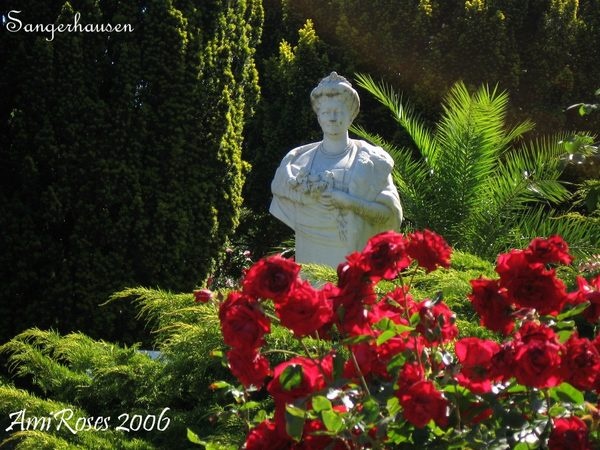 'Sangerhausen / Europarosarium Sangerhausen'  photo