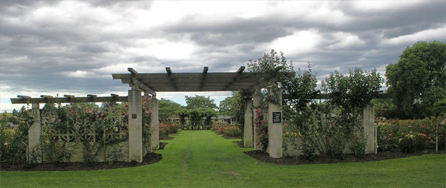 'Frimley Rose Gardens'  photo
