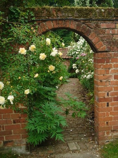 'Lime Kiln Rose Garden'  photo