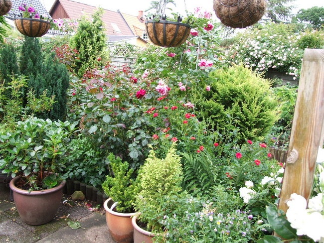 'Kjeld's Garden'  photo