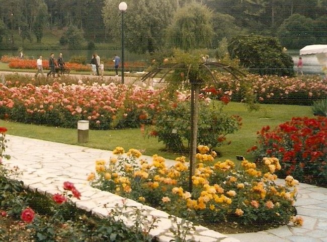 'Tête d'Or/Roseraies du Parc de la Tête d'Or'  photo