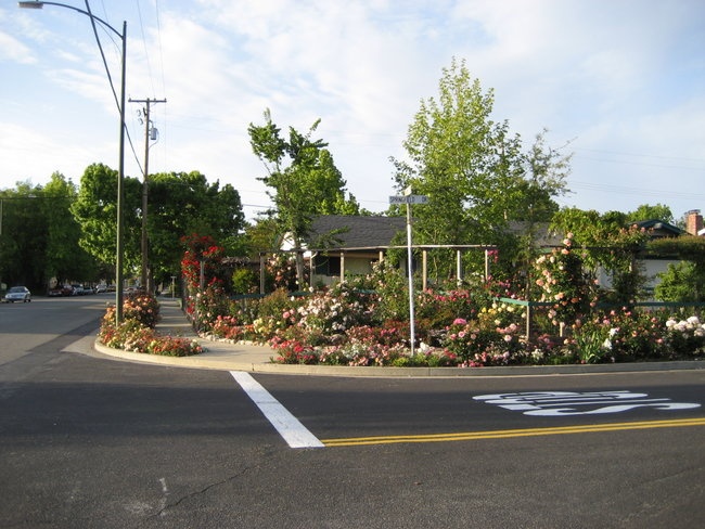 'Florascapes LLC Demonstration Garden'  photo