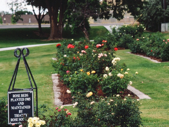 'Lawrence Scott Park'  photo