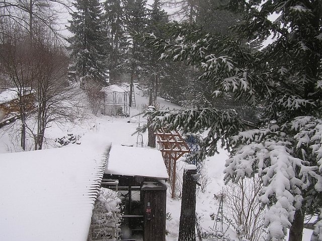 'Rosengarten im Oberland'  photo