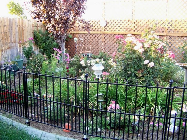 'Leslie's Garden'  photo