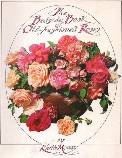 'The Bedside Book of Old-fashioned Roses'  photo