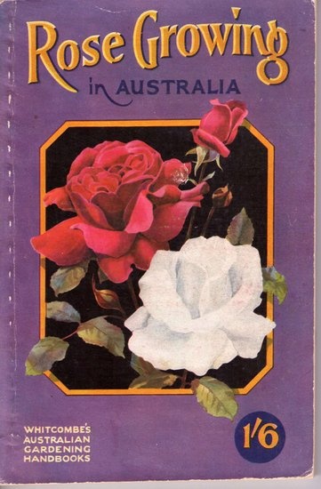 'Rose Growing in Australia'  photo