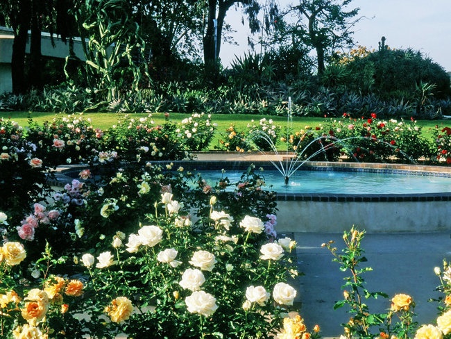 'Inez Grant Parker Rose Garden'  photo