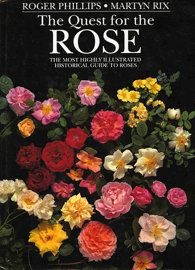'The Quest for the Rose'  photo