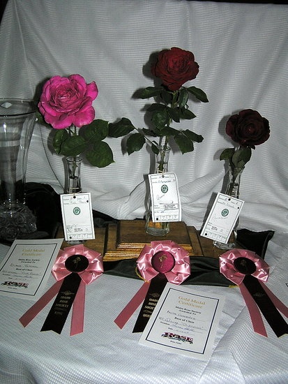 'Idaho Rose Society'  photo