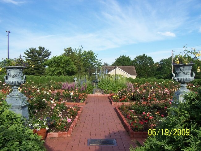 'Munsinger & Clemens Gardens-Virginia Clemens Rose Garden'  photo