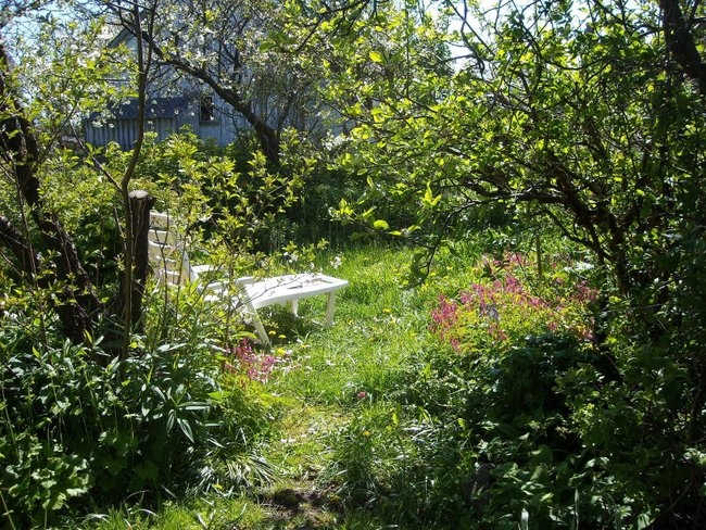 'Arvids garden, Lista'  photo