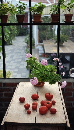 'Hilde Gunns garden Vanse'  photo