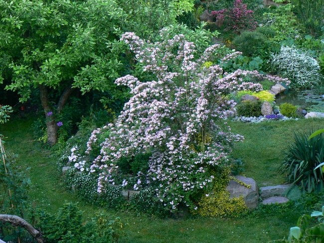 'GardenKaRo POLAND - ogród prywatny'  photo