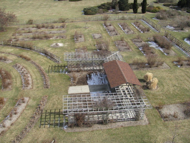 'The Garden of Roses of Legend and Romance'  photo