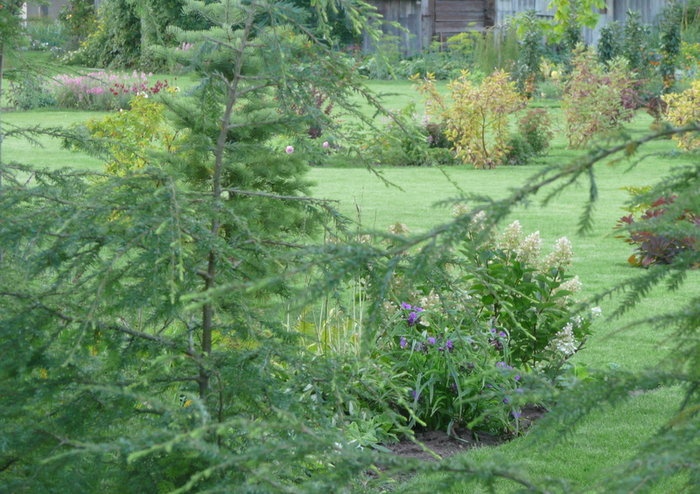 'Koala's garden. Lithuania.'  photo