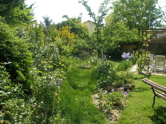 'Suke's garden'  photo