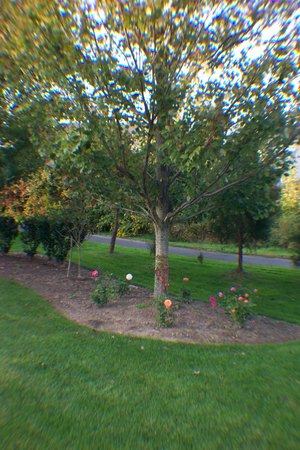 'Cheryl Young'  photo