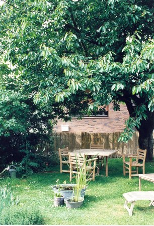 'Andrea Franke's Garden'  photo