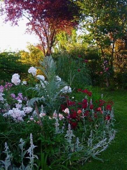 'My Garden'  photo