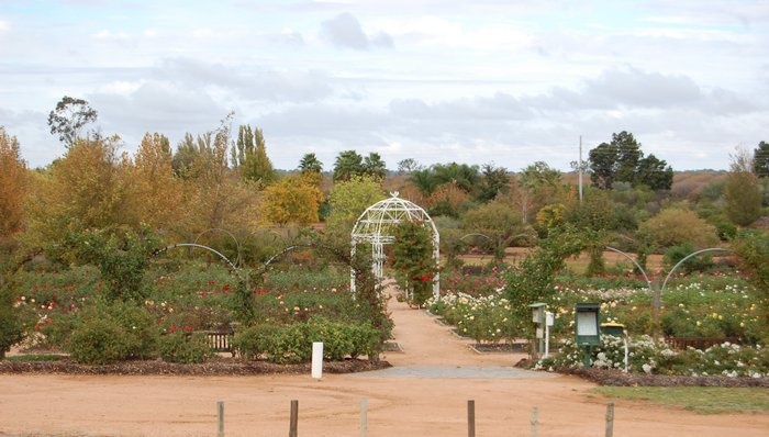 'Australian Inland Botanic Gardens'  photo