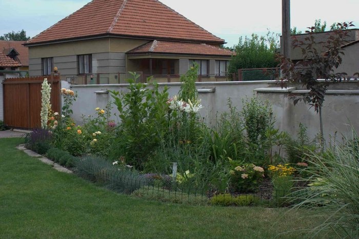 'Kokoska Garden'  photo