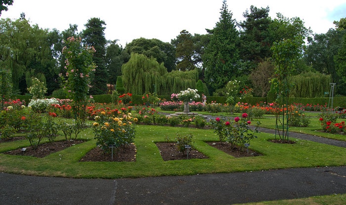 'National Botanic Gardens of Ireland'  photo