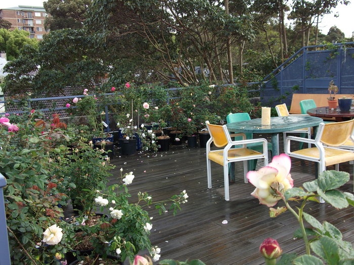 'Stucco terrace garden'  photo