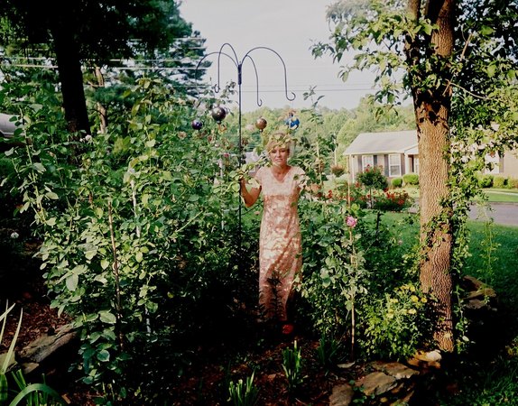 'Nancy's Alabama Rose Garden'  photo