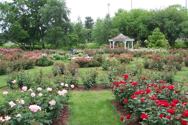 'The Nan Elliott Memorial Rose Garden'  photo