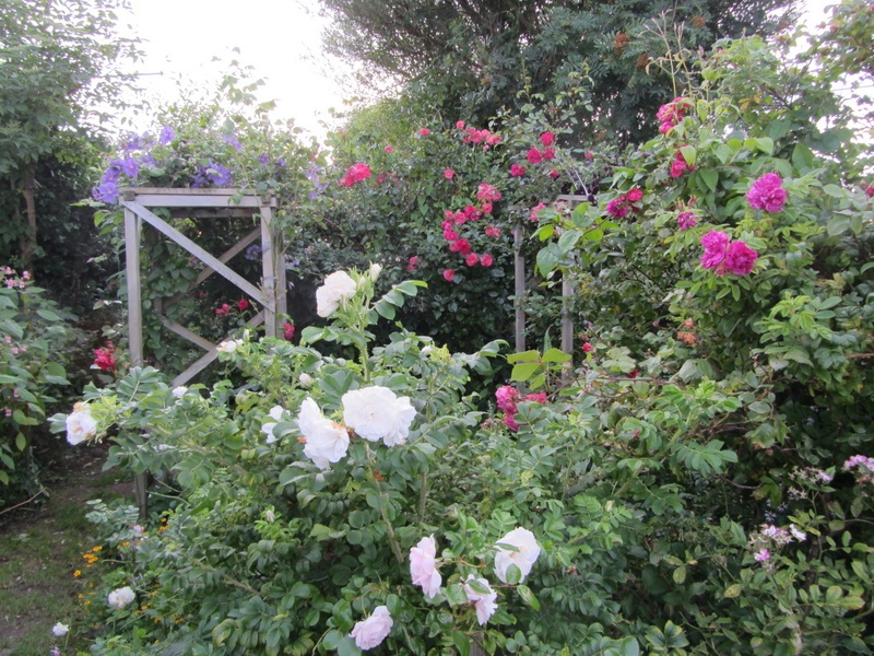 'Arvids garden, Lista'  photo