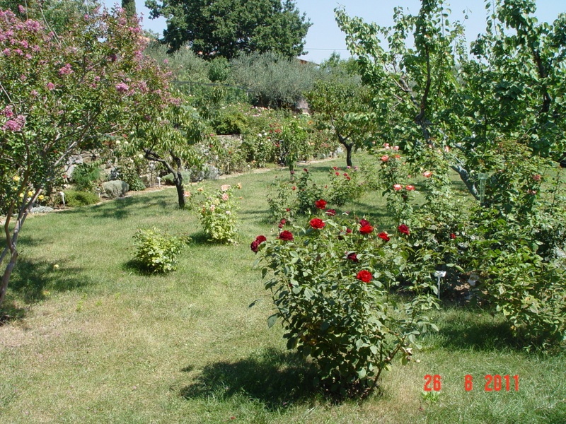 'My garden - Rožni vrt 