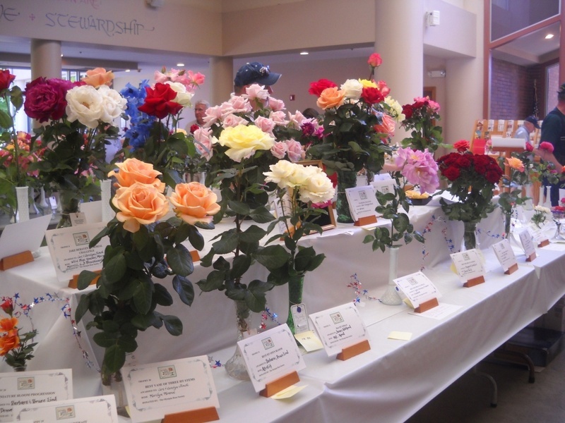 'Olympia Rose Society Show'  photo