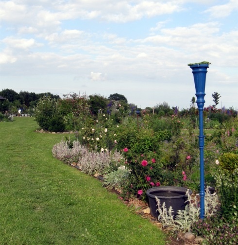 'L'âge bleu Rosenpark' , click to enlarge 'L'âge bleu Rosenpark'  photo