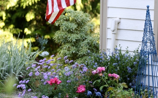 'Harbor Rose Garden'  photo