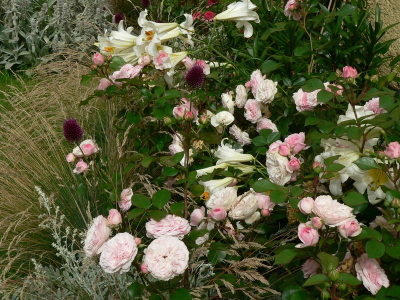 'A Big Hobby - My Small City Garden'  photo