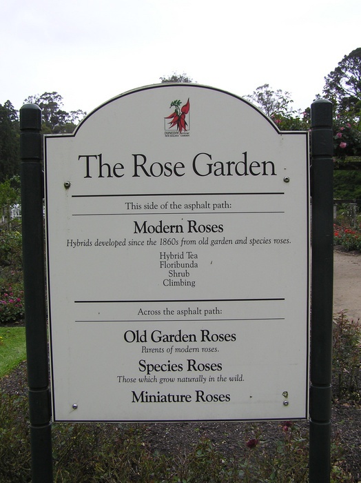 'Dunedin Botanic Garden'  photo