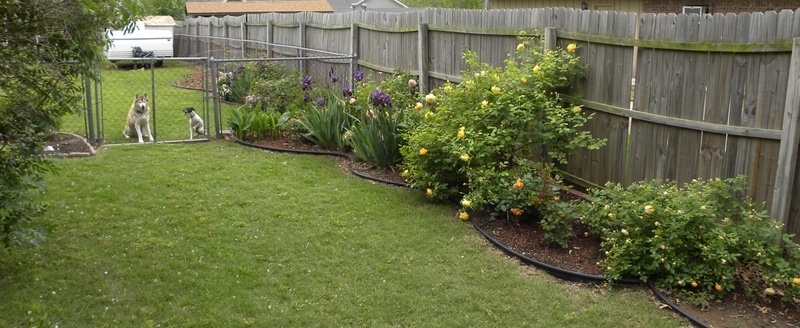 'Keneda Home Garden'  photo