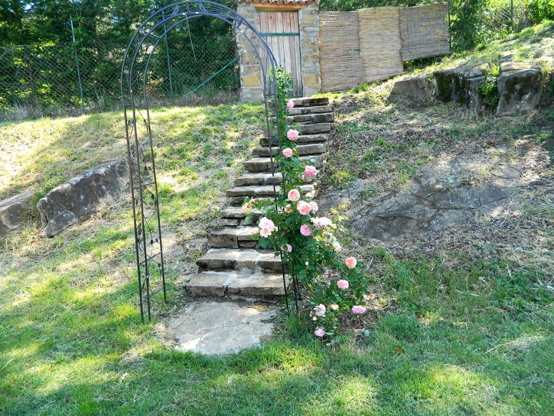 'Poesie garden'  photo