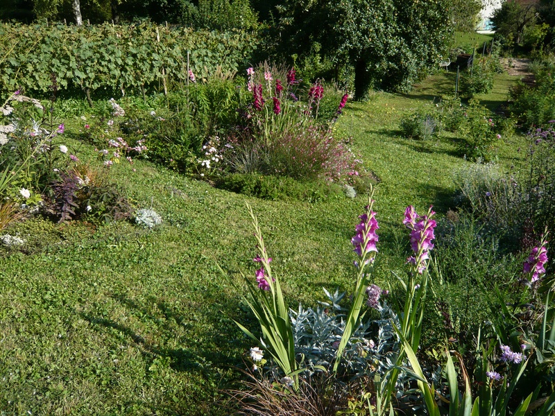 'Rosanas Rosengarten'  photo