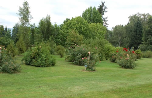 'Arboretum Volčji Potok'  photo