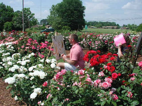 'Wilson Rose Garden'  photo