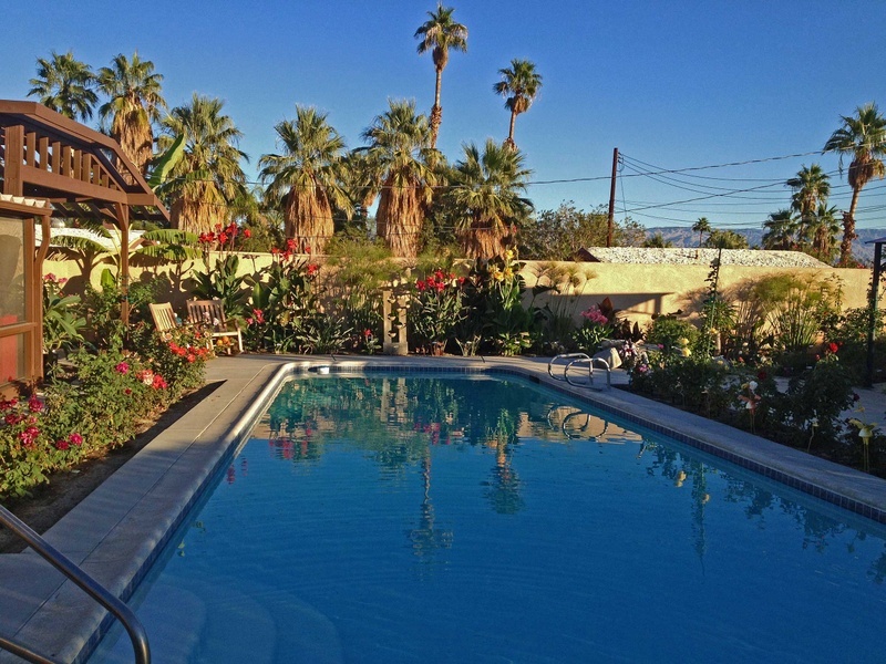 'Cliff's New California Low Desert Garden'  photo